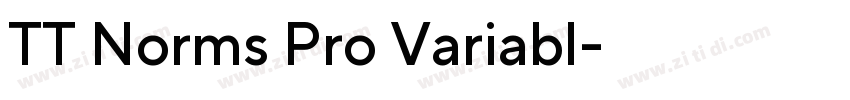 TT Norms Pro Variabl字体转换